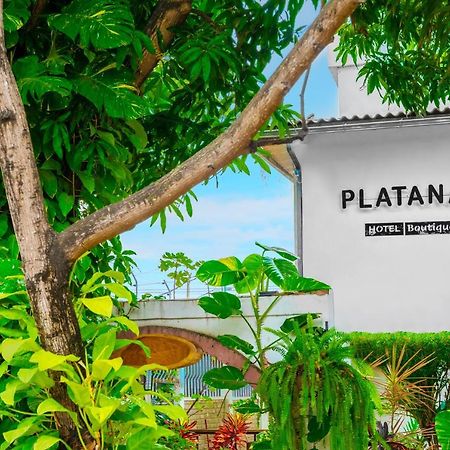 Hotel Boutique Platanal بورتوفيخو المظهر الخارجي الصورة