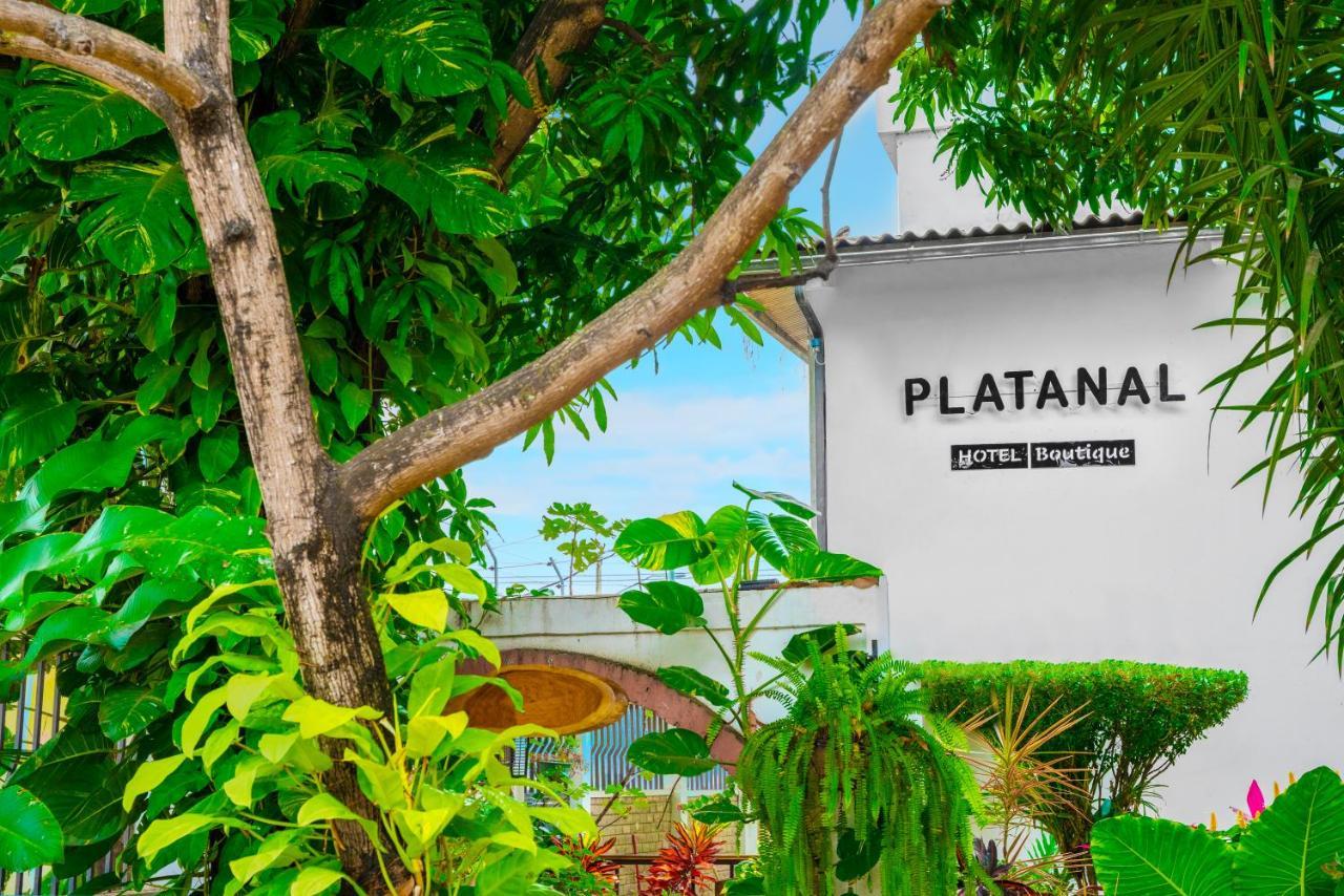 Hotel Boutique Platanal بورتوفيخو المظهر الخارجي الصورة