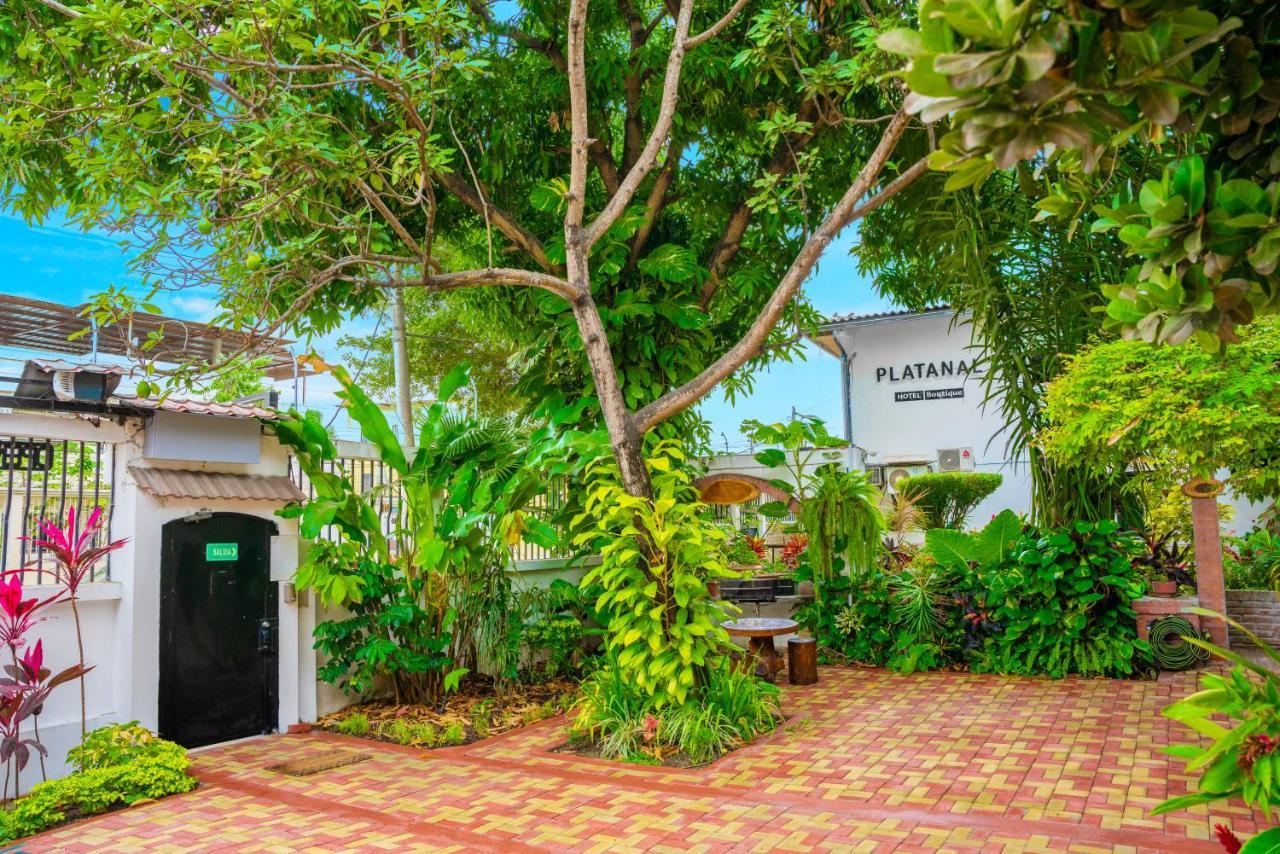 Hotel Boutique Platanal بورتوفيخو المظهر الخارجي الصورة